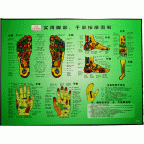#35209L Hand and Foot Acupuncture Points Chart 