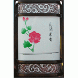 #8938 Wall Light
