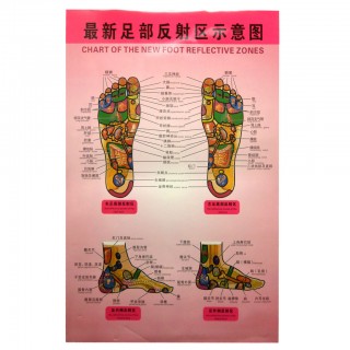#35214 The New Foot Reflective Zones Chart