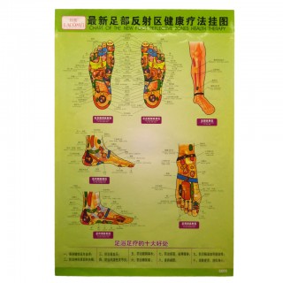 #35217 The New Foot Reflective Zones Chart II