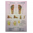 #35218 Hand and Foot Massage Guide Chart 