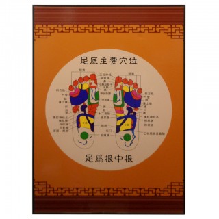 #35219 Acupuncture Points at Foot
