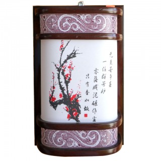 #8923 Wall Light