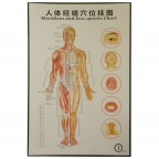 #35211 Body Meridians and Acupuncture Points Chart 1