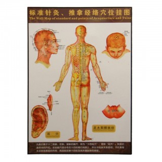 #35201 Body Map of Acupuncture Points 